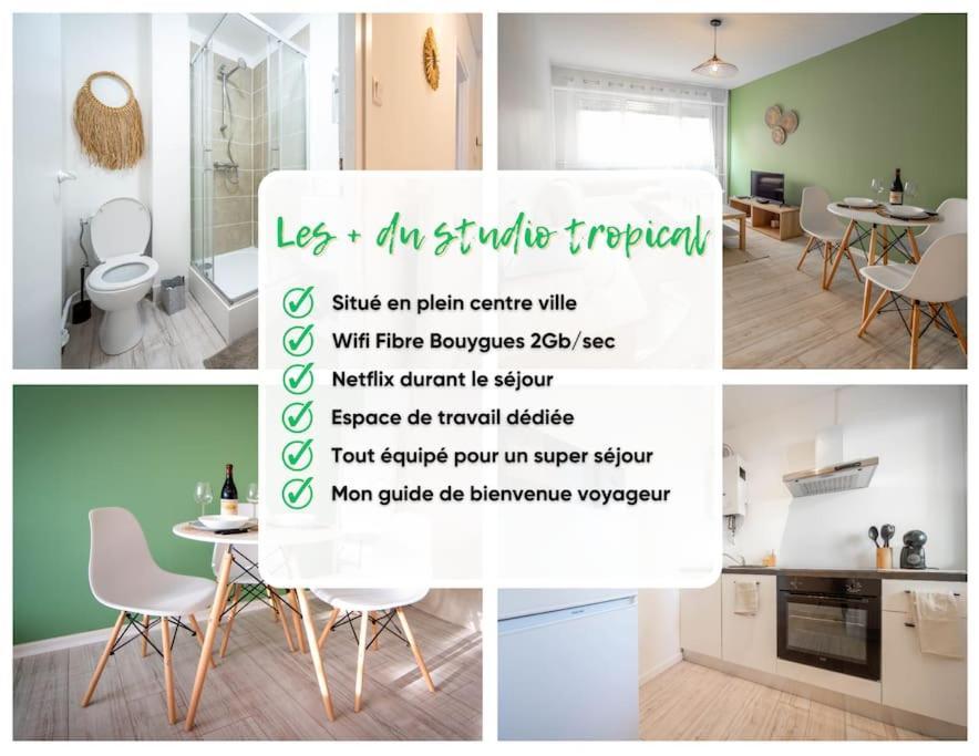 Le Studio Tropical Chalon-sur-Saône Exterior foto